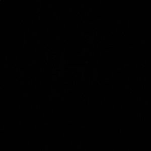 Meet your Posher, Victor